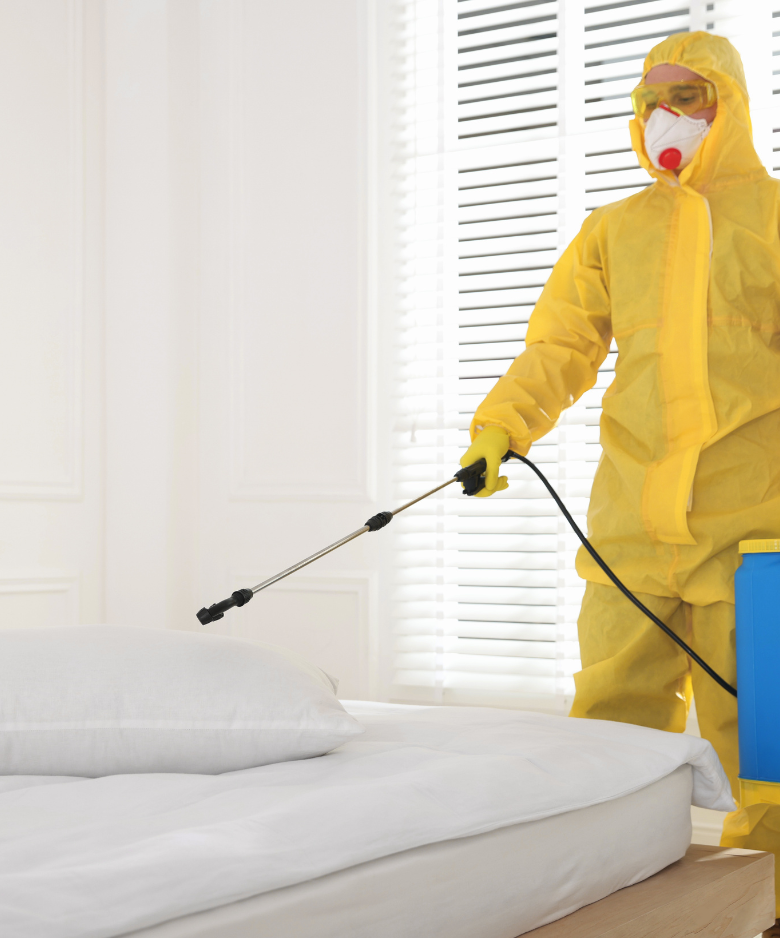Professional Pest Control Team in West Richmond